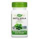 Gotu Kola Herb - 100 vcaps 23599 фото 1