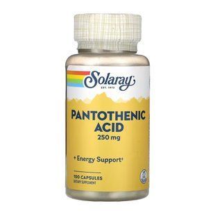 Pantothenic Acid 250mg - 100 caps 31937 фото