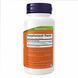 Olive Leaf Extract 500 mg - 60 veg caps 23489 фото 2