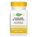 Choline & Inositol - 100 caps 23593 фото 1