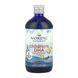 Children's DHA - 473 ml 31690 фото 1