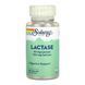 Lactase 40mg - 100 vcaps 31955 фото 1