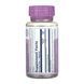 Bilberry Berry Extract 60mg - 60 vcaps 32194 фото 2