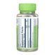 Garlic Parsley 530mg - 100 vcaps 31912 фото 2