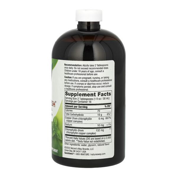 Chlorofresh&reg; Liquid - 16 oz Mint 26632 фото